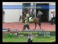 Desbocado - Parade Ring - 11-Nov-07