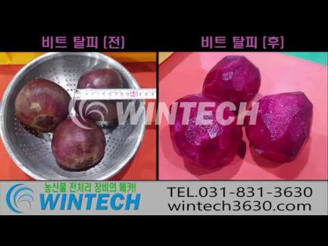 13. 비트탈피기 (탈피테스트)