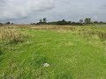 Karlsmosen Funen eng / meadow Karlsmosen Funen eng / meadow