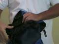 VideoYug - Hiking Backpack