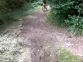 Chute De Vélo