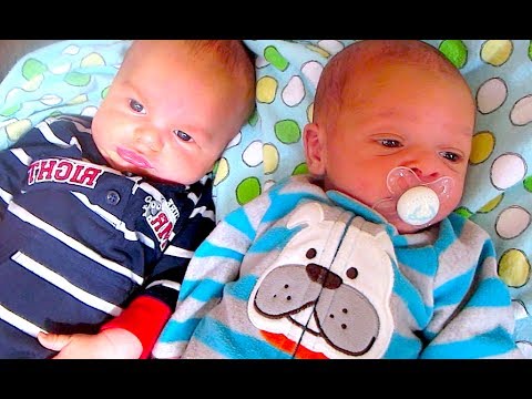 BABY BATTLE!