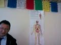 Tibetan Medicine