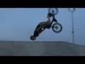 Dj's run at the skate park