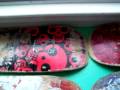 all my boards