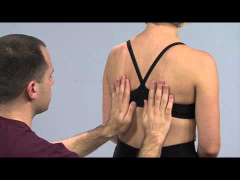 how to perform tactile fremitus