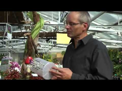 Orchideen Pflege: Orchitop - Freiheit fr die Orchide ...