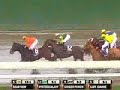2007 Breeders Cup Distaff - Ginger Punch