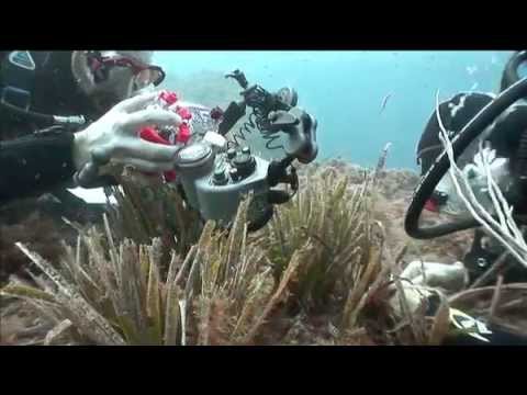 youtube-img