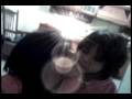 M�gicas princesas (canta el DanBauza)