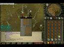 first pking trip