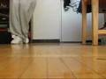videos de Andy4Cwalk Vid2.flv