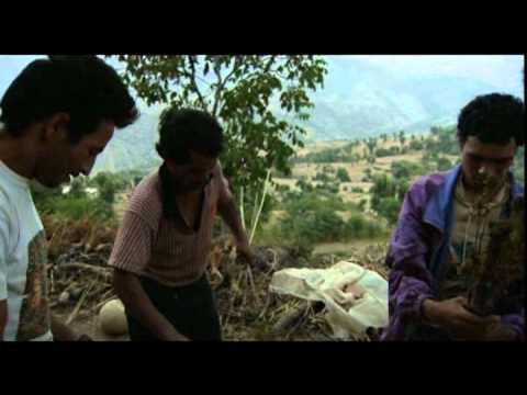 hash - Haschisch (2002) How is hash made Awesome marijuana documentary about hash. Very cool cannabis film about the process of making hashish in the east.