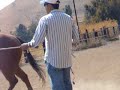 MI LLEGUA LA ESCOPETA II MI LLEGUA LA ESCOPETA II