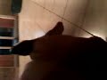 deu a loka na salsicha