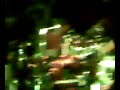 unleashd