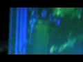 L�tray �kos \"Mondd L�tom M�g\" Koncert