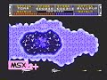 from video 'all about msx'. 
this is beta version of last laydock. this version's scroll is slower than final thing. and most of enemy's form is different.