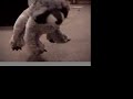 Webkinz Got Talent