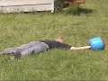 eddie and carlo farm mini bike joust with sock em rock em's