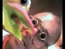 Just Ducky