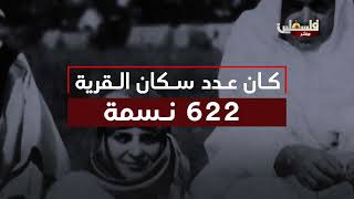 قرية عين الزيتون في فلسطين المحتلة عام 1948