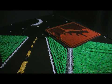 Why Did The Cat Cross The Road?