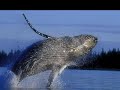 vid�o inspir�e de la chanson interpr�t�e par isabelle boulay

je vous invite � venir faire un tour sur mon blog: http://pilouzazou.spaces.livre.com