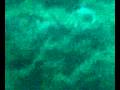 videos de 30112008(001)