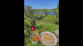 جولة ساحرة في قرية دالية الروحاء المهجرة جنوب شرق حيفا المحتلة . . .