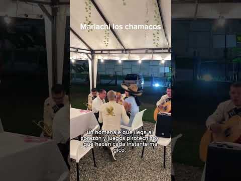 Video de la agrupación Mariachi los chamacos