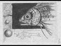 Peces - Las Pelotas