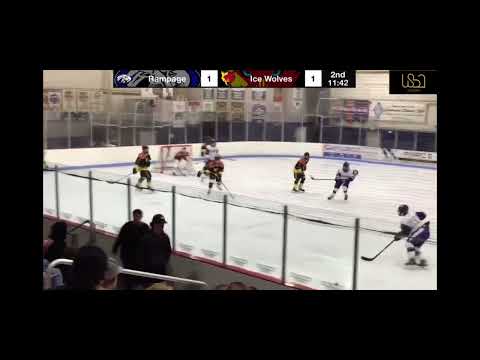 Left D getting the puck on the Blueline