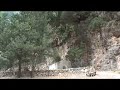 Samaria Gorge