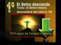 videos de La Falsedad