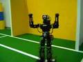 Humanoid robots show emotional reactions at RoboCup 2006