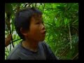 Hmong Jungle Survived on Roots (Laura Lo Xiong)