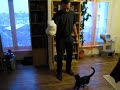 filipon-le-con-chat-dr-le-.html