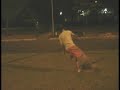 Best trickz 2008