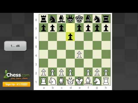 chess knight chess knight