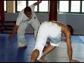 Abada Capoeira & Team Superfly Abada Capoeira & Team Superfly