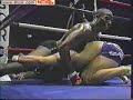 jujitsu brasileiro
