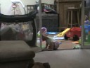 Lily playing Peekaboo 5/08