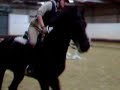Julia Theis Springreiten