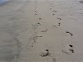 sayulita-2008.html