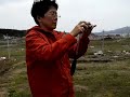 Click here to watch this video スジャータプロジェクトin南三陸町 特別養護老人ホーム慈恵園前にて