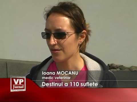 Destinul a 110 suflete