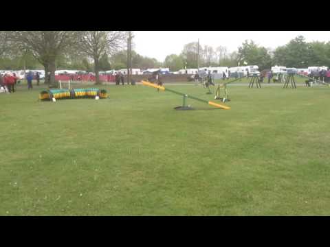 Crufts team May 2017 2nd place