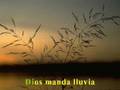 Manda la Lluvia - (Rojo)