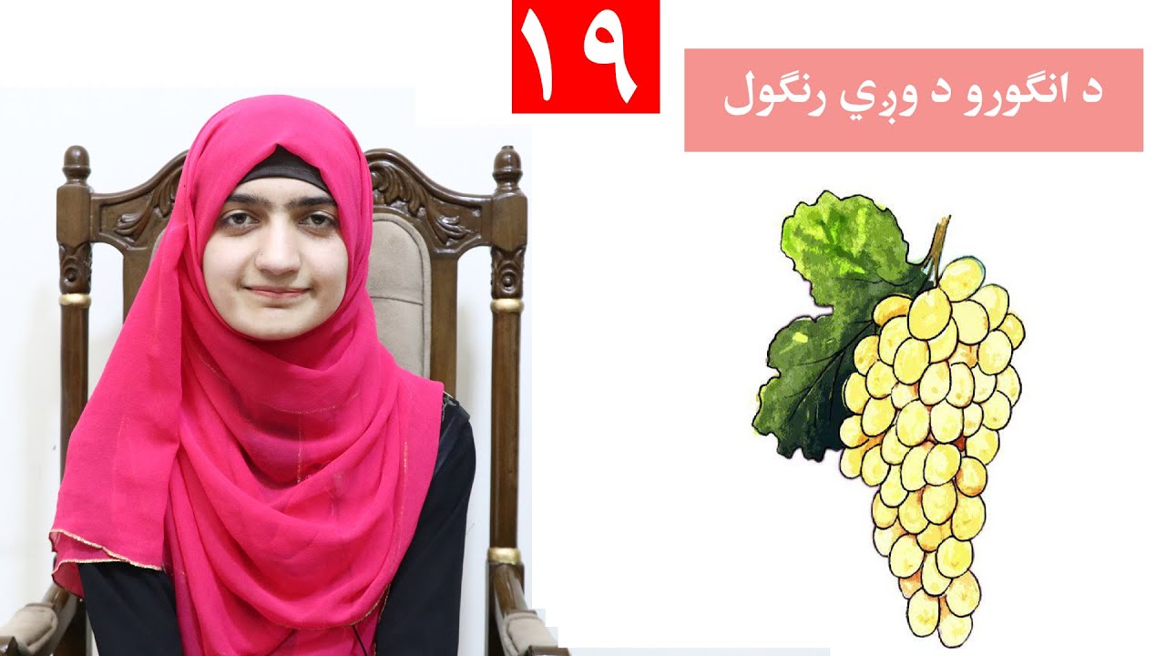 Class 4 - Art | Coloring a grape branch - Lesson 19